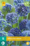 Sinilaukka Caeruleum 15 kpl/pkt - Laukat - 8712438517051 - 2