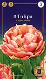 Tulppaani Copper Image 5 kpl/pkt - Tulppaanit - 8711148242451 - 1