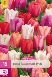 Tulppaani Glowing with Pride 15 kpl/pkt - Tulppaanit - 8720873008911 - 1
