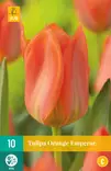 Tulppaani Orange Emperor 7 kpl/pkt - Tulppaanit - 8712438508301 - 2