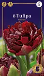 Tulppaani Palmyra 8 kpl/pkt - Tulppaanit - 8711148245711 - 1