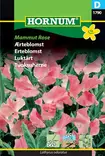 Tuoksuherne Mammut Rose - Kukkien ja koristeheinien siemenet - 5708787017901 - 1