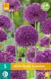 Ukkolaukka Purple Sensation 5 kpl/pkt - Laukat - 8712438517501 - 2