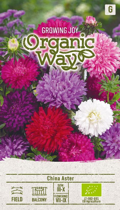 KIINANASTERI OG STANDY - Kukkien ja koristeheinien siemenet - 4770168913691 - 0