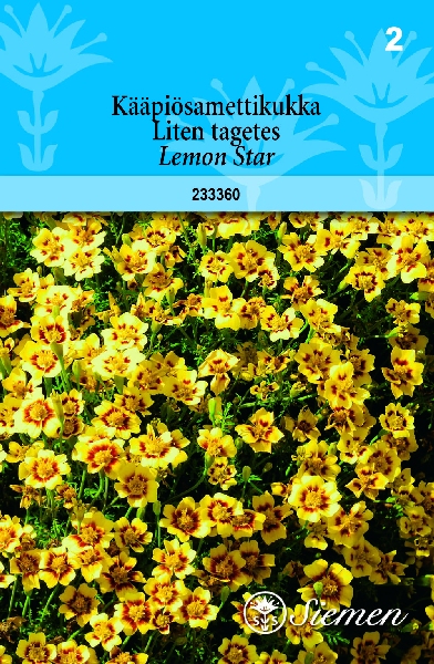 Kääpiösamettikukka Lemon Star - Kukkien ja koristeheinien siemenet - 6415152333601 - 1