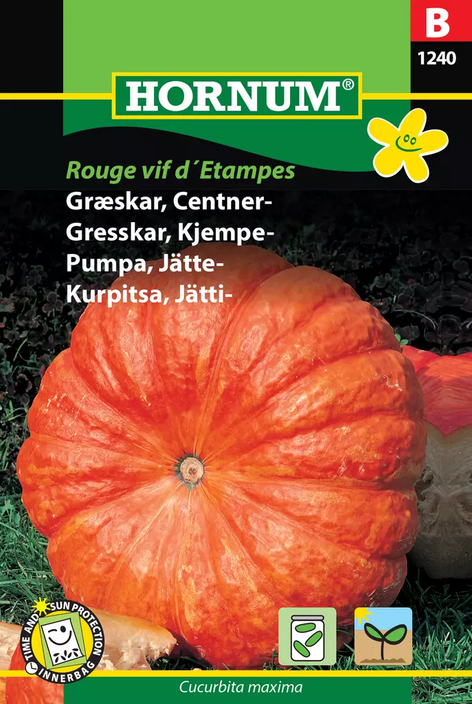 Kurpitsa, Jätti- Rouge trés hâtif d´Etam - Vihannesten ja yrttien siemenet - 5708787012401 - 0