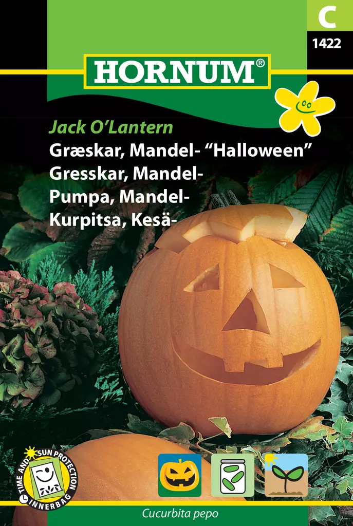 Kurpitsa, Kesä- Jack O’Lantern - Vihannesten ja yrttien siemenet - 5708787014221 - 0