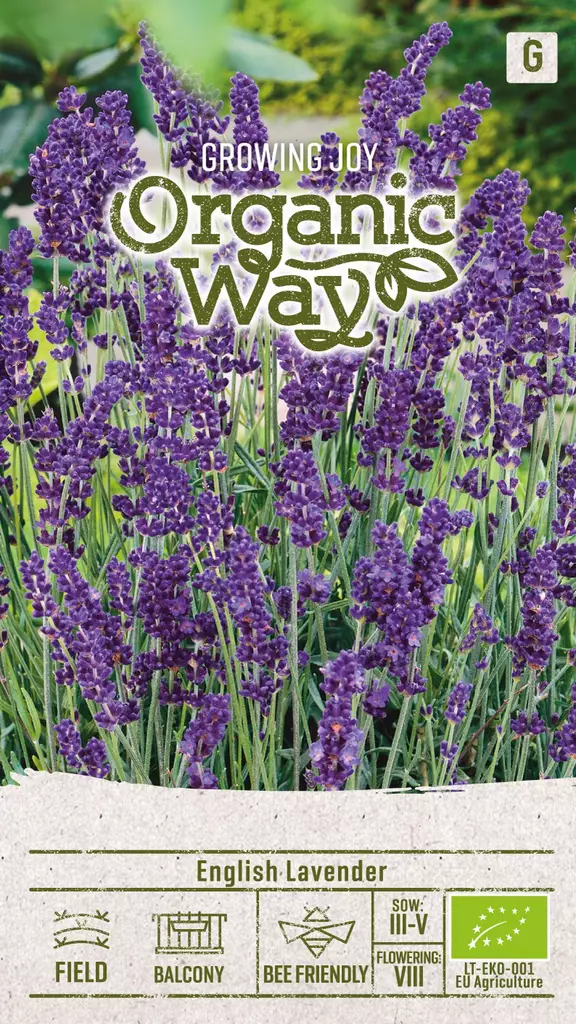 LAVENTELI OG - Kukkien ja koristeheinien siemenet - 4770168151451 - 0