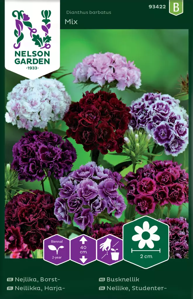 Neilikka, Harja-, Mixed Double, seos - Kukkien ja koristeheinien siemenet - 7312600934221 - 0