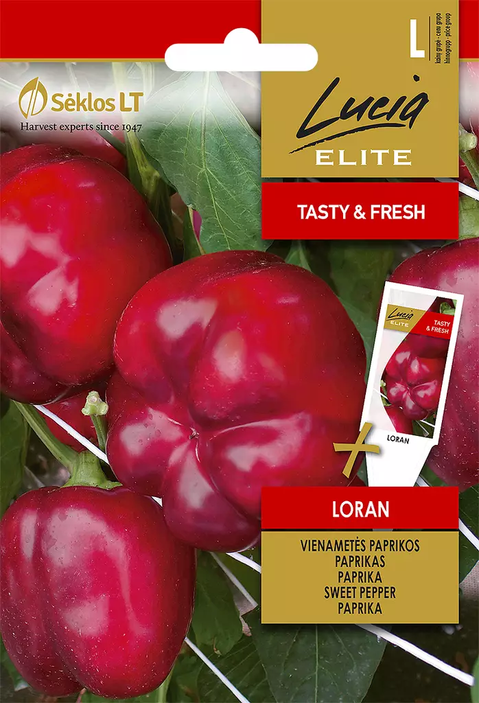 PAPRIKA ELITE LORAN - Vihannesten ja yrttien siemenet - 4770168125971 - 0