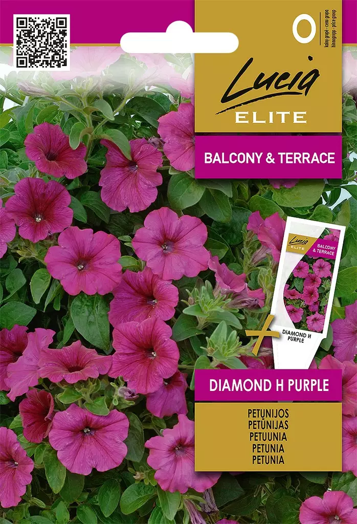 PETUNIA (SURFINIA) ELITE DIAMOND H PURPL - Kukkien ja koristeheinien siemenet - 4770168920521 - 0