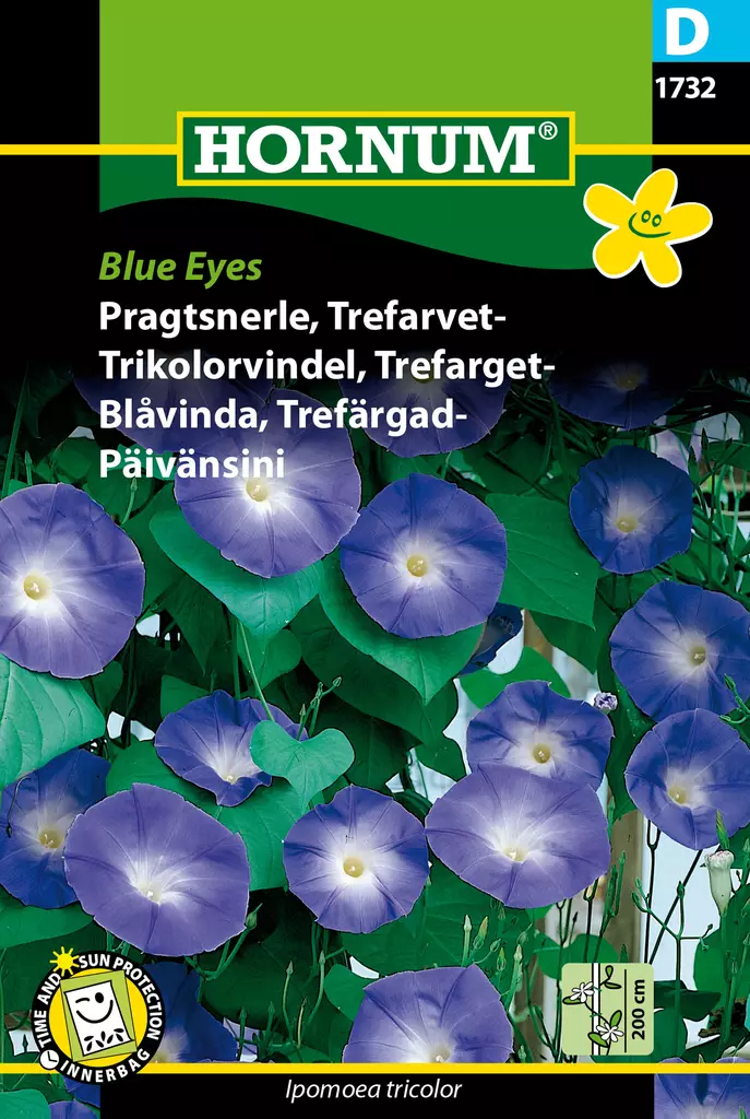 Päivänsini Blue Eyes - Kukkien ja koristeheinien siemenet - 5708787017321 - 0