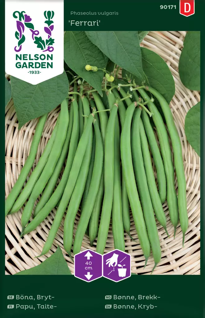 Papu, Taite-, Ferrari - Vihannesten ja yrttien siemenet - 7312600901711 - 0
