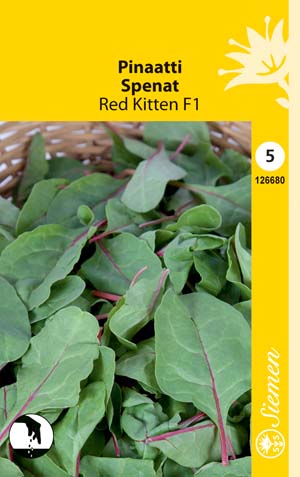 Pinaatti Red Kitten F1 - Vihannesten ja yrttien siemenet - 6415151266801 - 1