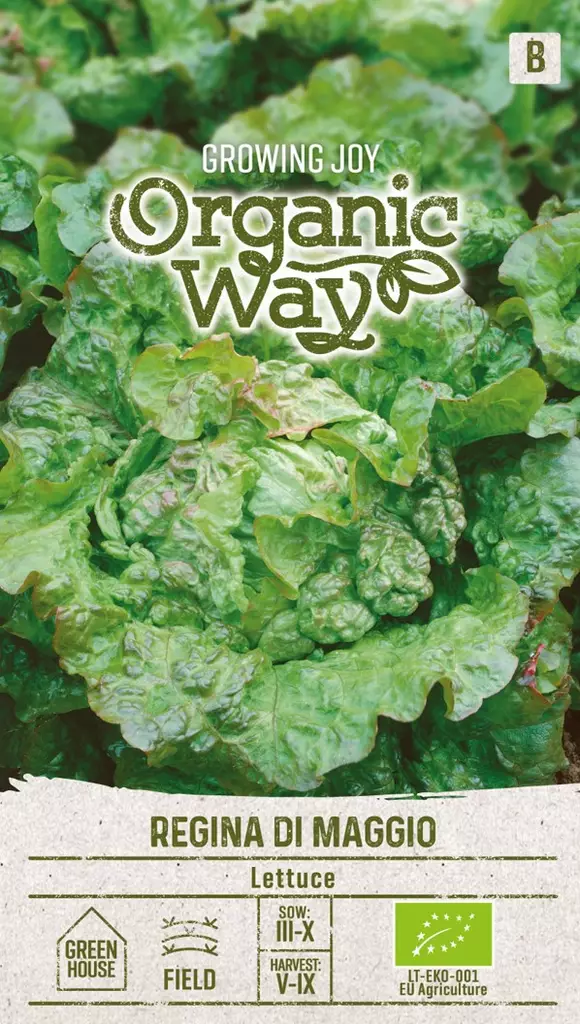 SALAATTI OG REGINA DI MAGGIO - Vihannesten ja yrttien siemenet - 4770168151321 - 0