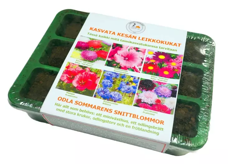 Seedbox Leikkokukat - Taimien kasvatusruukut - 6408432002631 - 1
