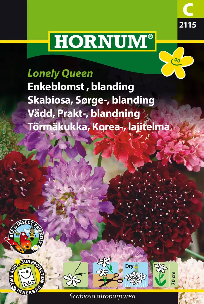 Törmäkukka, Korea-, lajitelma Lonely Que - Kukkien ja koristeheinien siemenet - 5708787021151 - 0