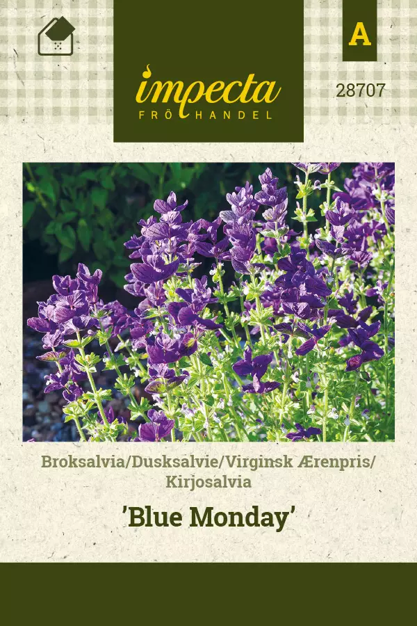 Kirjosalvia Blue Monday - Kukkien ja koristeheinien siemenet - 7332756287071 - 1