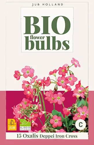 Onnenkäenkaali 15 kpl/pkt - Muut kukkasipulit - 8720873001011 - 1