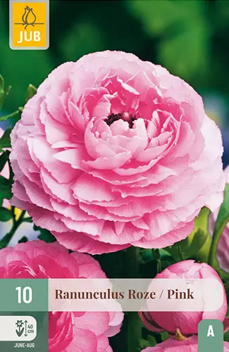 Jaloleinikki Pink 10 kpl/pkt -  - 8712438626401 - 1