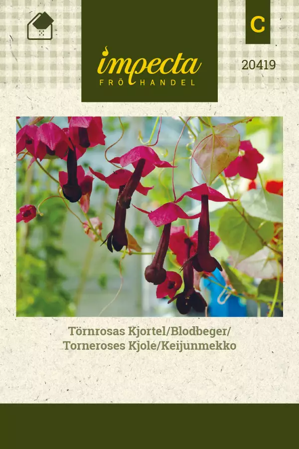 Keijunmekko - Kukkien ja koristeheinien siemenet - 7332756204191 - 0