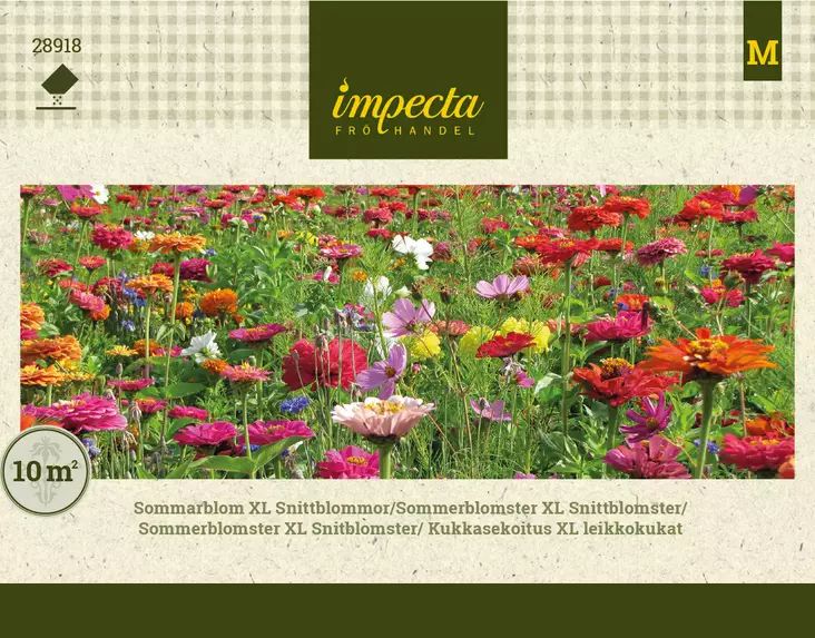 Kesäkukka XL Leikkokukat - Kukkien ja koristeheinien siemenet - 7332756289181 - 1