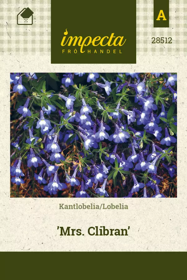 Lobelia Mrs. Clibran - Kukkien ja koristeheinien siemenet - 7332756285121 - 0