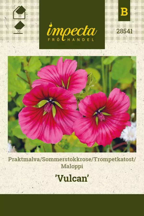 Maloppi Vulcan - Kukkien ja koristeheinien siemenet - 7332756285411 - 0