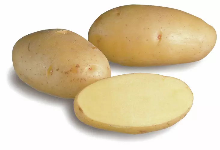 Peruna Nicola 3 kg - Siemenet ja sipulit - 6417486001461 - 1