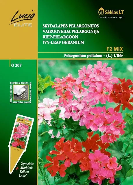 RIIPPAPELARGONI ELITE F2 MIX - Kukkien ja koristeheinien siemenet - 4770168251571 - 0