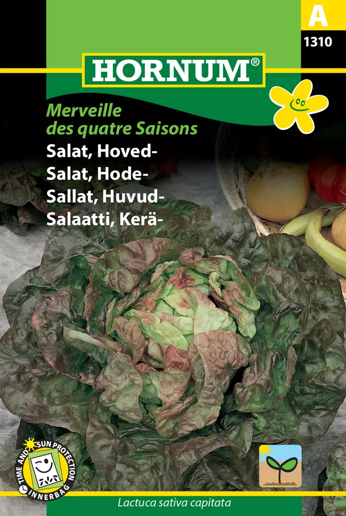Salaatti, Kerä- Merveille des quatre Sai - Vihannesten ja yrttien siemenet - 5708787013101 - 0