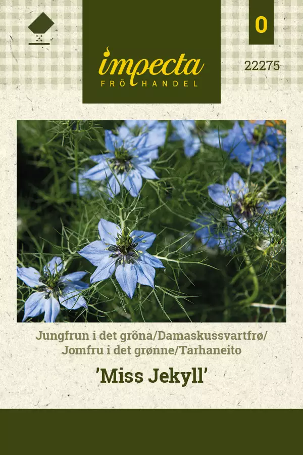 Tarhaneito Miss Jekyll - Kukkien ja koristeheinien siemenet - 7332756222751 - 0