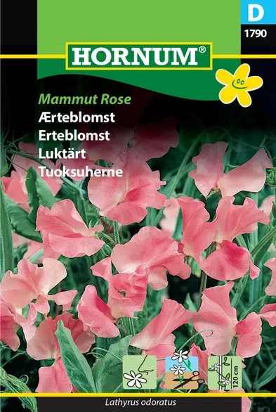 Tuoksuherne Mammut Rose - Kukkien ja koristeheinien siemenet - 5708787017901 - 1