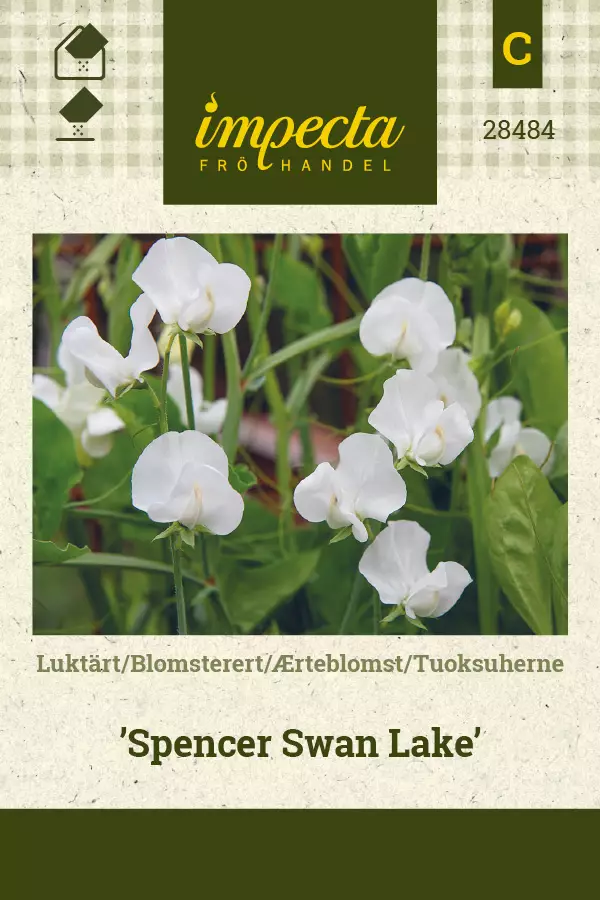 Tuoksuherne Spencer Swan Lake - Kukkien ja koristeheinien siemenet - 7332756284841 - 0