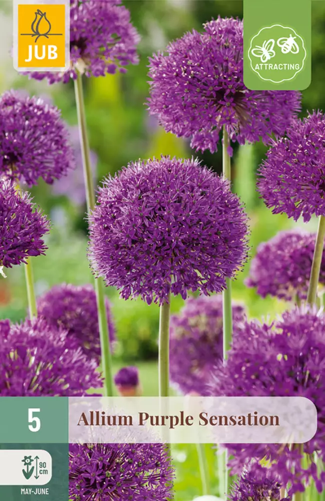 Ukkolaukka Purple Sensation 5 kpl/pkt - Laukat - 8712438517501 - 1