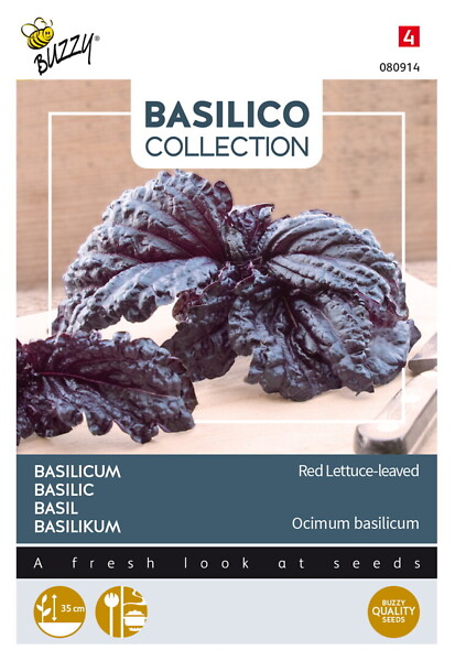 Buzzy Basilico basilika Red Lizzy - Kukkien ja koristeheinien siemenet - 8711117809142 - 1