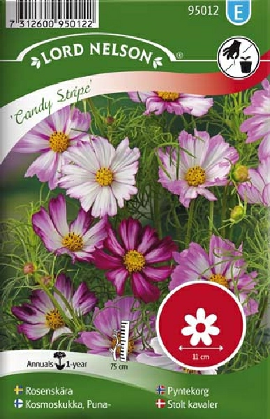 Kosmoskukka, Puna-, Candy Stripe - Kukkien ja koristeheinien siemenet - 7312600950122 - 1