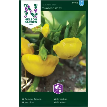 Kurpitsa, Sunseanse F1 - Vihannesten ja yrttien siemenet - 7312600910522 - 1