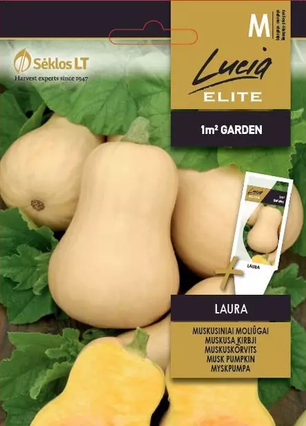 MYSKIKURPITSA ELITE LAURA - Vihannesten ja yrttien siemenet - 4770168121362 - 0