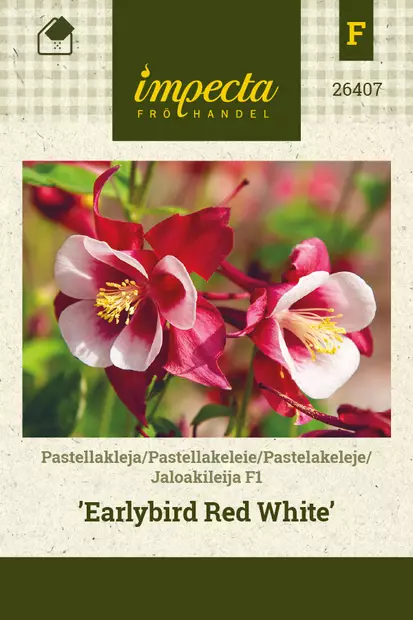 Jaloakileija F1 Earlybird Red White - Kukkien ja koristeheinien siemenet - 7332756264072 - 1