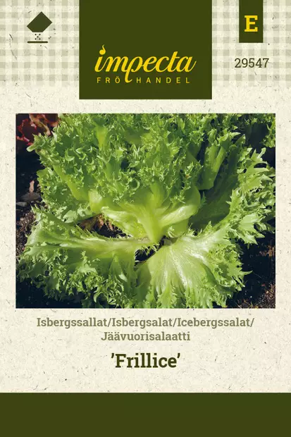 Jäävuorisalaatti Frillice - Vihannesten ja yrttien siemenet - 7332756295472 - 0