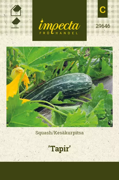 Kesäkurpitsa Tapir - Vihannesten ja yrttien siemenet - 7332756296462 - 0
