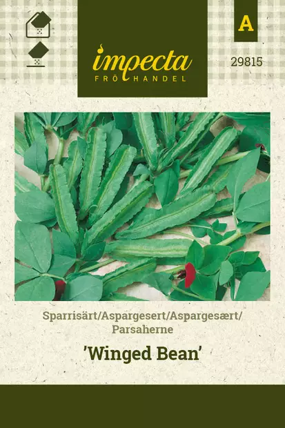 Parsaherne Winged Bean - Vihannesten ja yrttien siemenet - 7332756298152 - 0