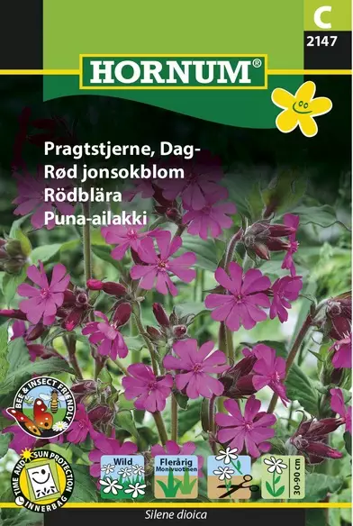 Puna-ailakki - Kukkien ja koristeheinien siemenet - 5708787021472 - 1