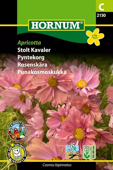 Punakosmoskukka Apricotta - Kukkien ja koristeheinien siemenet - 5708787021502 - 1