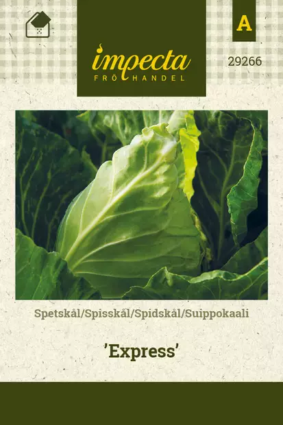 Suippokaali Express - Vihannesten ja yrttien siemenet - 7332756292662 - 0