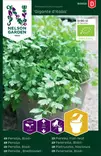Persilja,Sileälehtinen,Gigan.d Italia,Or - Kukkien ja koristeheinien siemenet - 7312600909502 - 0