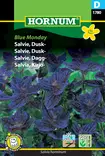 Salvia, Kirjo- Blue Monday - Kukkien ja koristeheinien siemenet - 5708787017802 - 0