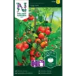 Tomaatti, Kirsikka-, Tiny Tim - Vihannesten ja yrttien siemenet - 7312600917262 - 1