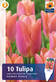 Tulppaani Salmon Prince 6 kpl/pkt - Tulppaanit - 8711148243892 - 1